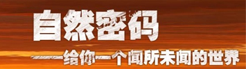自然密码