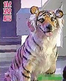 100320快乐大本营